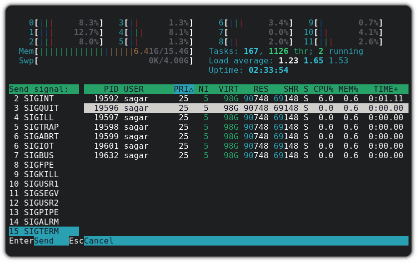 kill process in htop