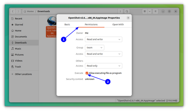 make the appimage file executable