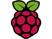 Raspberry Pi Logo