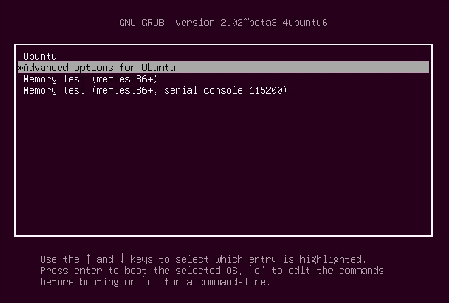 Advanced boot options in Grub menu of Ubuntu