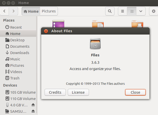 Ubuntu 13.04 New Features: Files