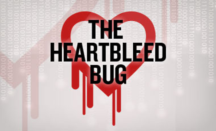 Heartbleed bug
