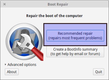 boot repair in Ubuntu Linux