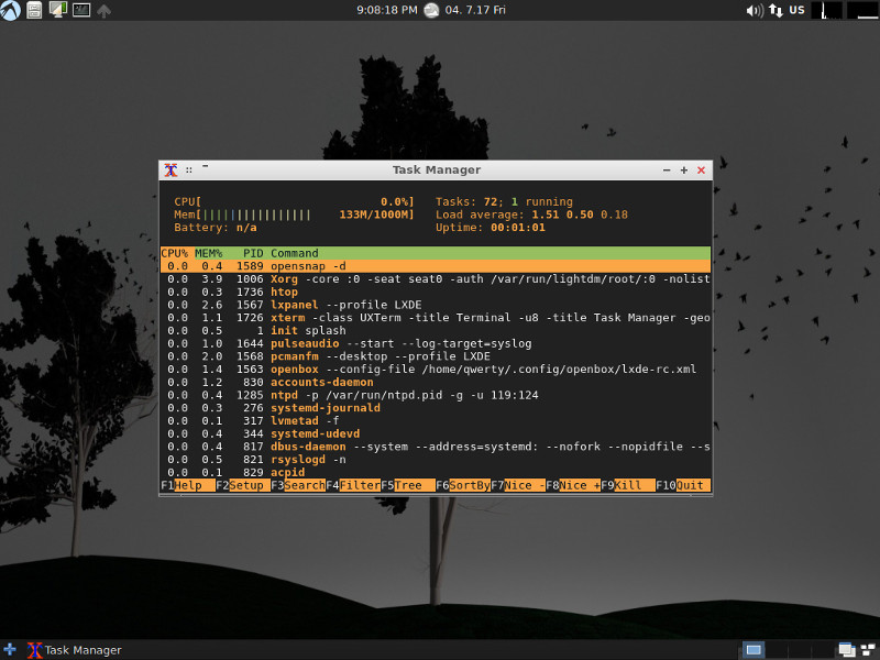 LXLE is a good choice for a lightweight Linux distribution