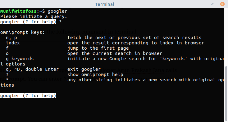 Googler OmniPrompt Help