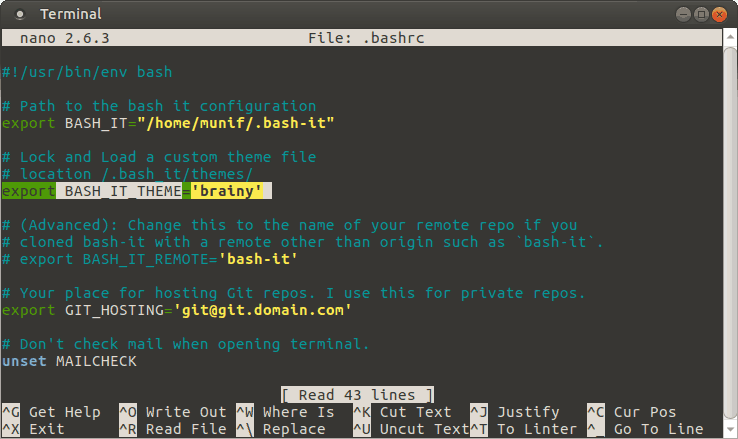 Setting Bash-it theme