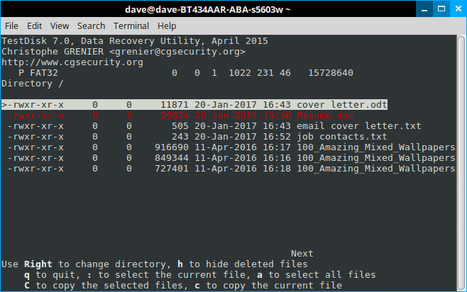 How to recover deleted files in Linux using TestDisk