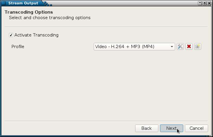 Eventually, choose some transcoding options. It can be useful to reduce bandwidth usage.