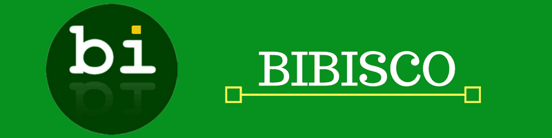 Bibisco open source tool for writers