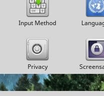 Turn on Privacy in Linux Mint