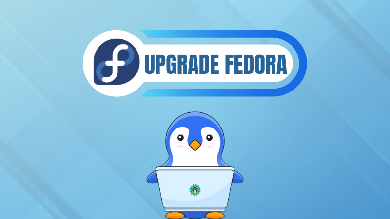 Fedora 40 Releases as a Prettier and a More Secure Distro