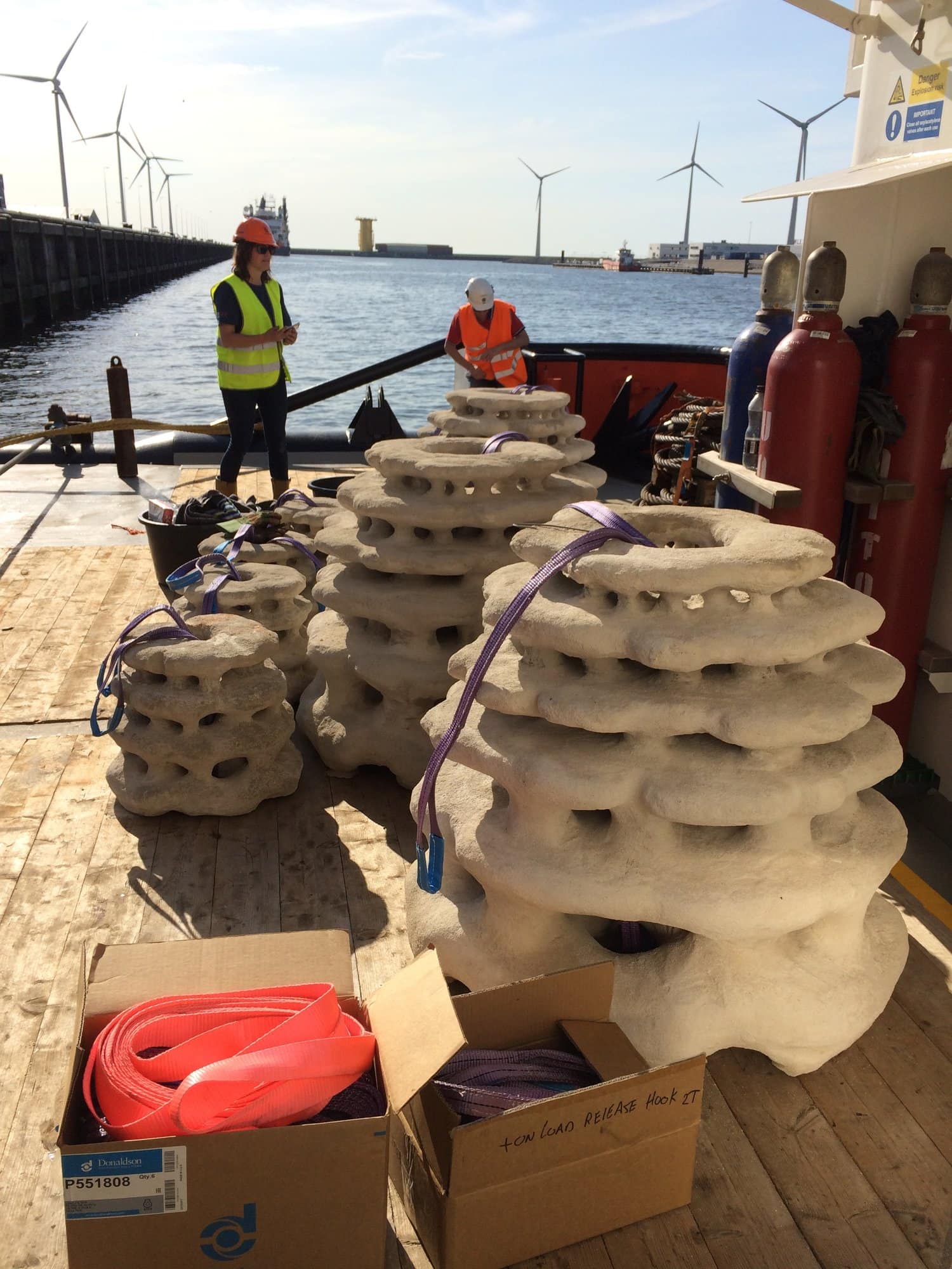 3D Printed Coral Reefs developed by Reef Design Lab