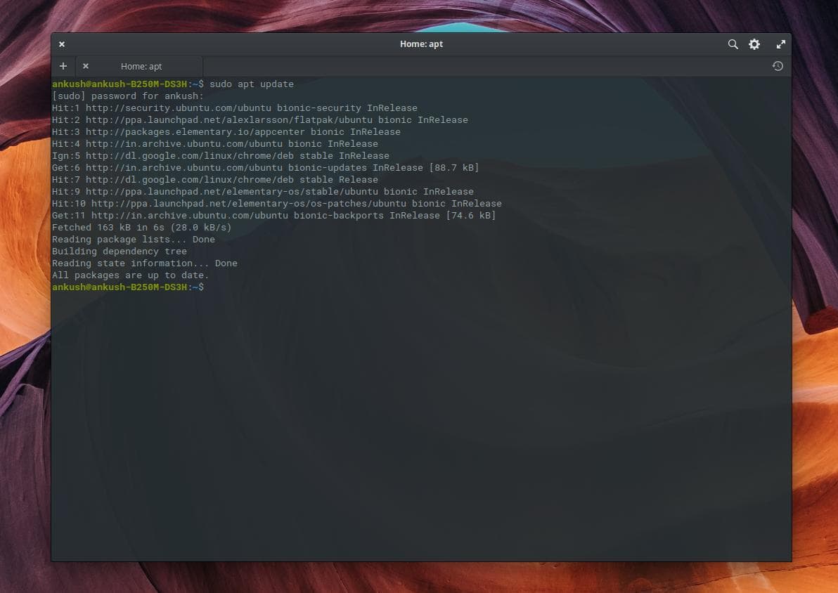 terminal showing system updates in elementary os 5 Juno
