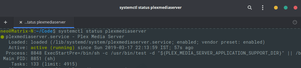 plex service running