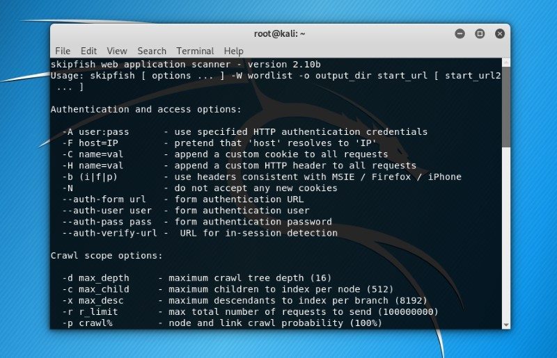 Skipfish Kali Linux Tool