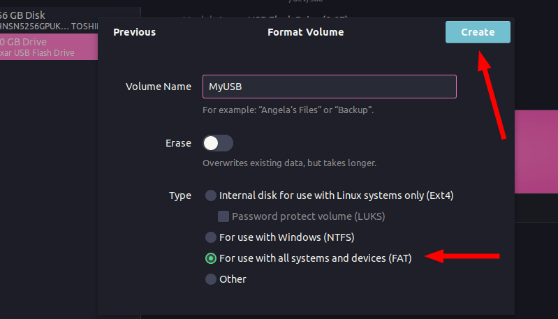 Formatting USB in Ubuntu Linux