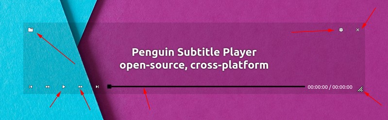 Penguin Subtitle Player Interface