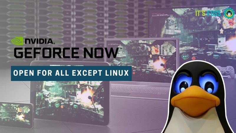 GeForce NOW Open for All