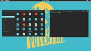 Best Free Linux Distributions for Desktops and Servers