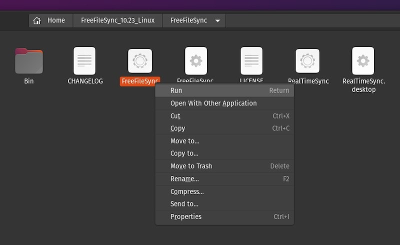 a screenshot of running freefilesync on linux