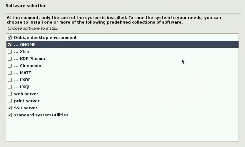 Software Selection Debian10 Installation