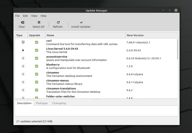 Linux Mint 20 System Update