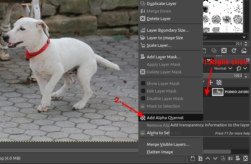 Add alpha channel to image in GIMP