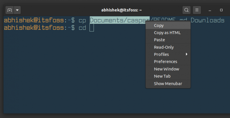 how-to-copy-and-paste-in-the-ubuntu-terminal-pi-my-life-up