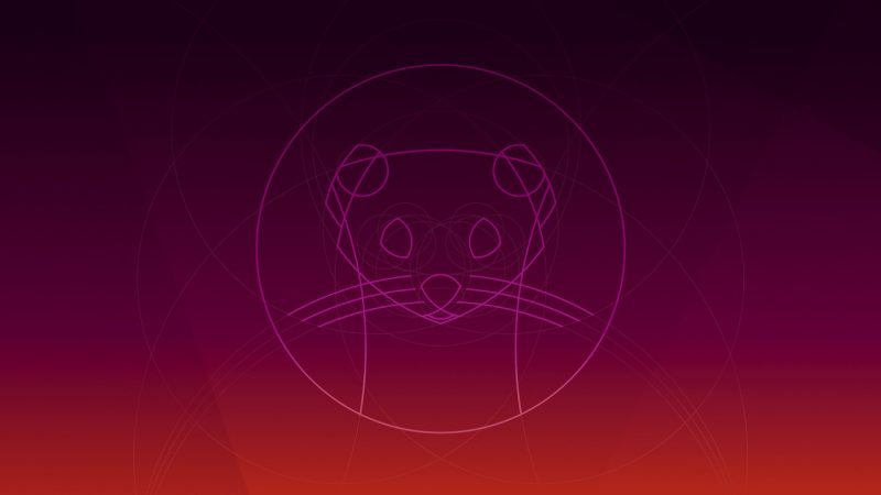 ubuntu 19.10 wallpaper