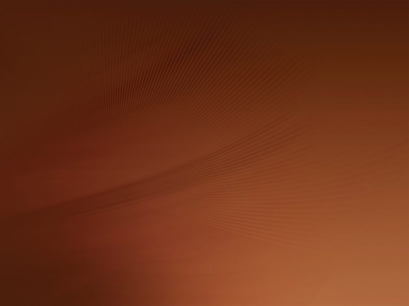 Ubuntu 9.04 wallpaper