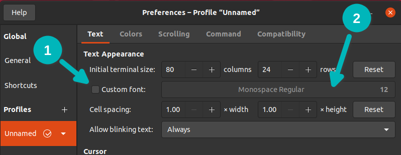 enable font change ubuntu terminal