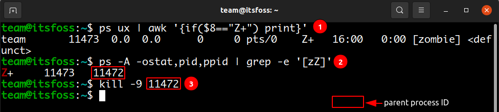 how-to-find-and-kill-zombie-process-in-linux