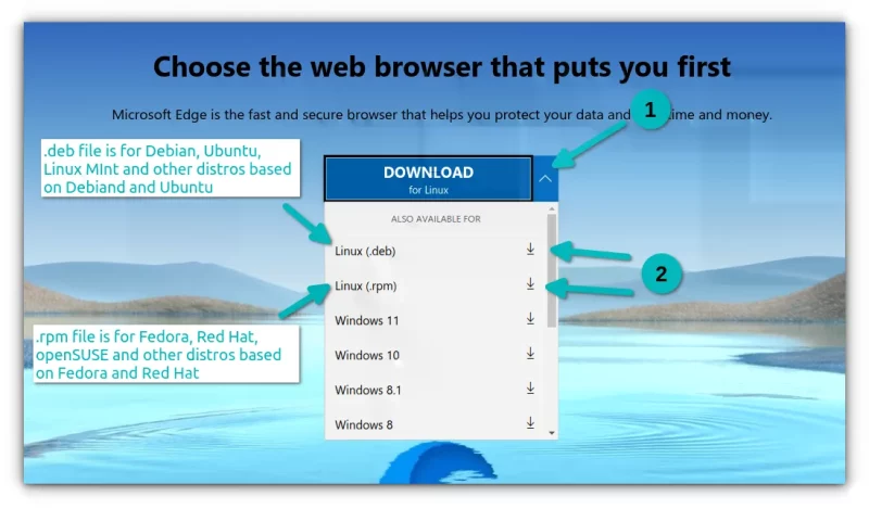 How to install Microsoft Edge browser 