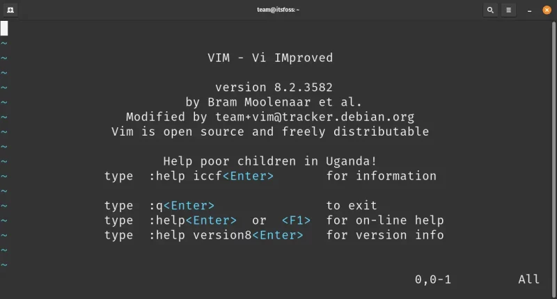 01 vim interface