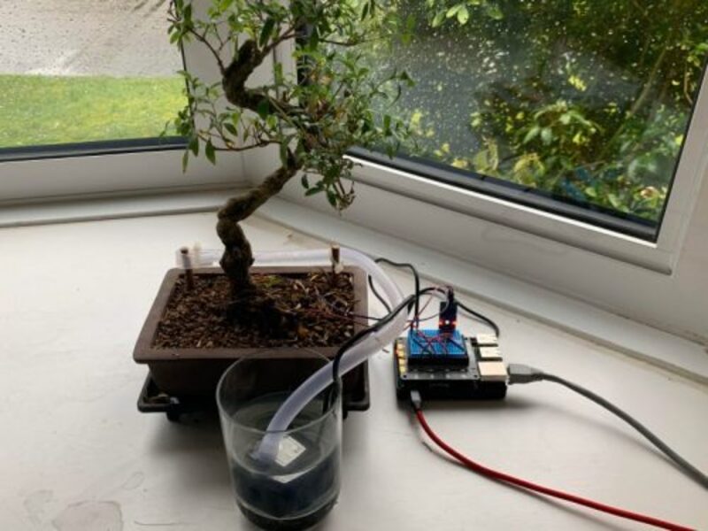 bonsai watering pi 1