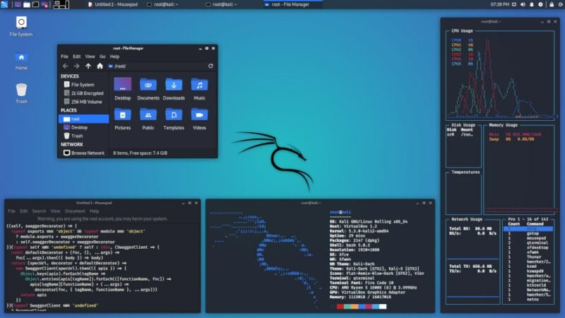 11. kali linux