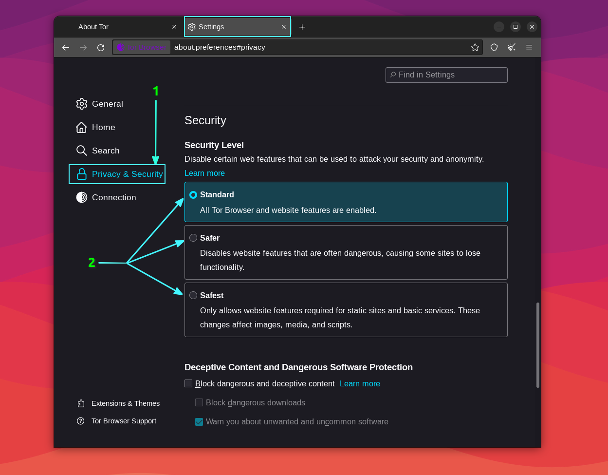 What is Tor Browser & How to Setup Tor