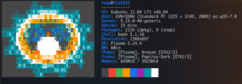 neofetch image with caca backend