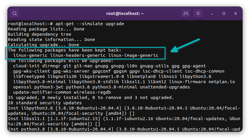 apt-get upgrade cannot 'upgrade' kernel version