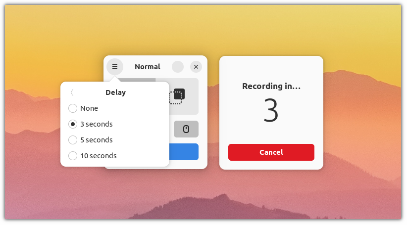 delay screen recording using kooha