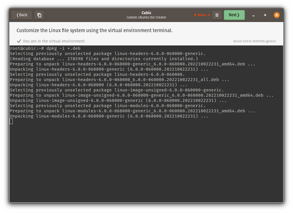 installing linux kernel 6.0 in ubuntu
