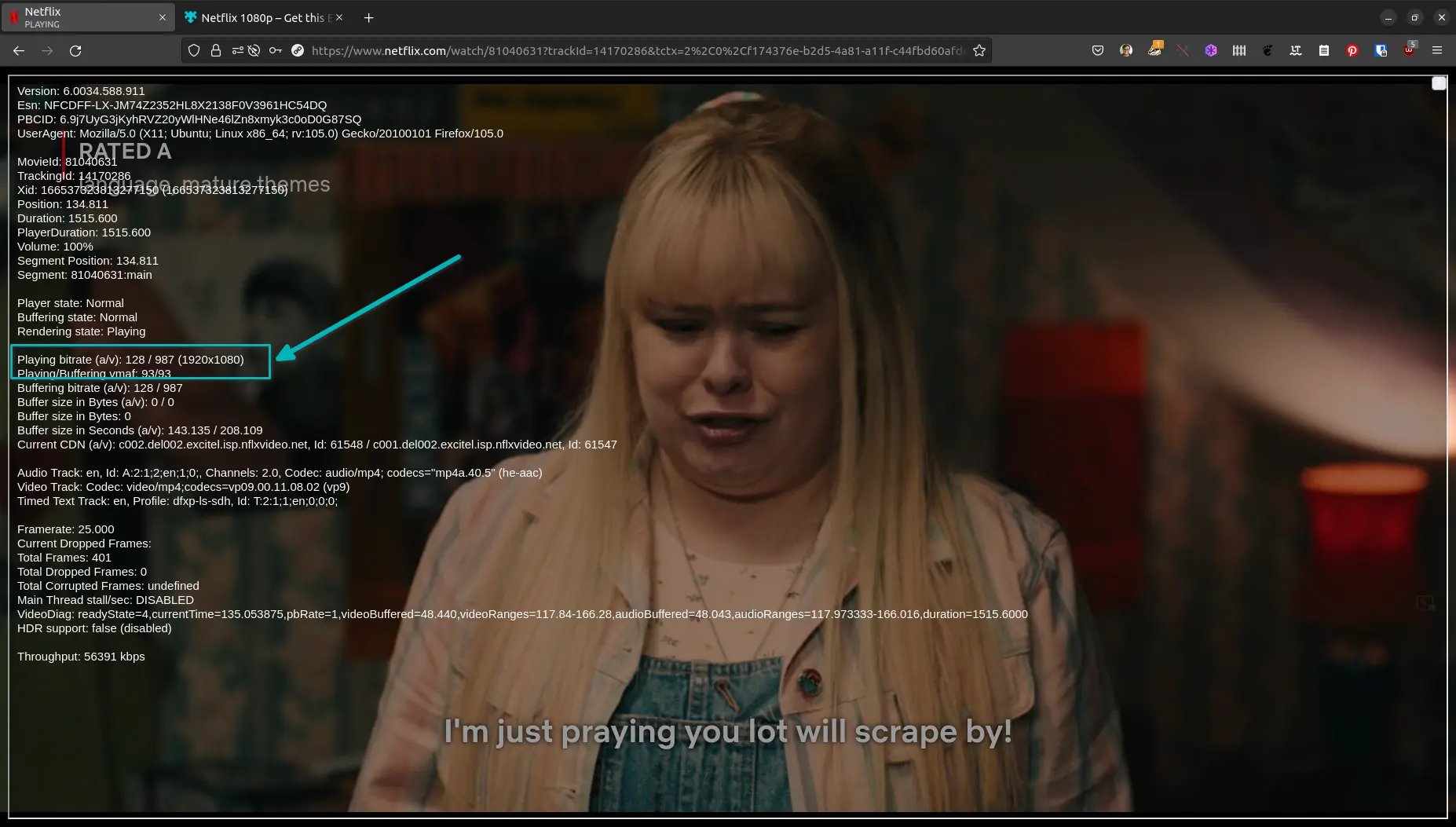 Netflix Web Player