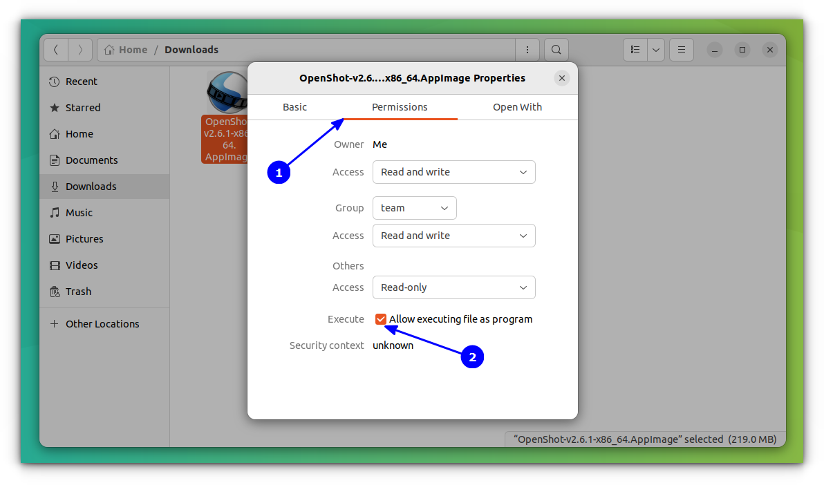 make the appimage file executable