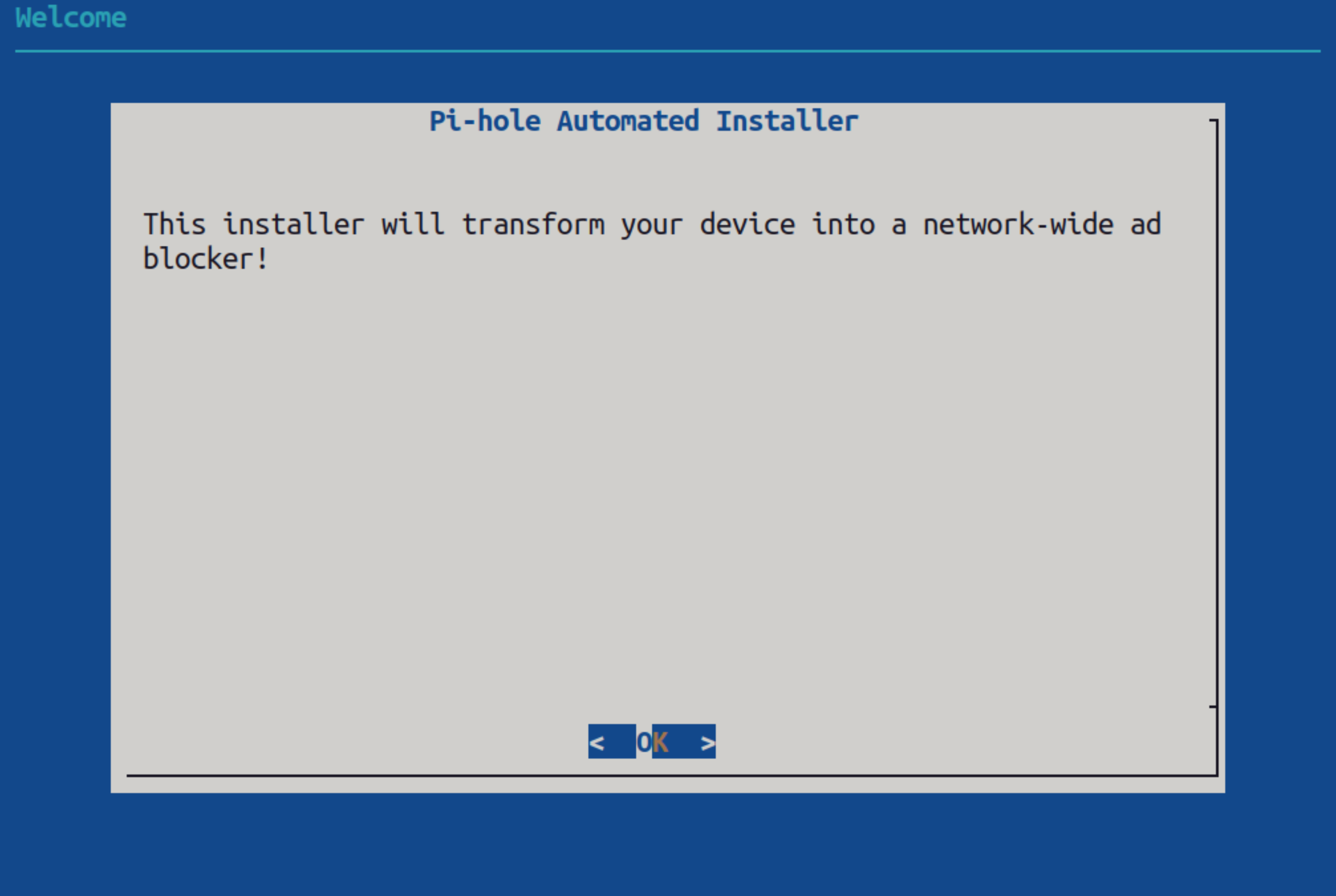 Pi-hole installer's initial screen