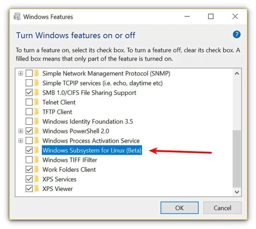 select the windows subsystem for linux checkbox