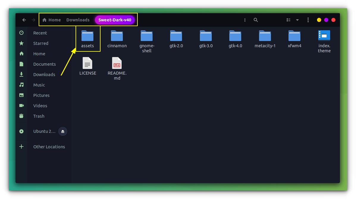 assets folder inside the themes folder