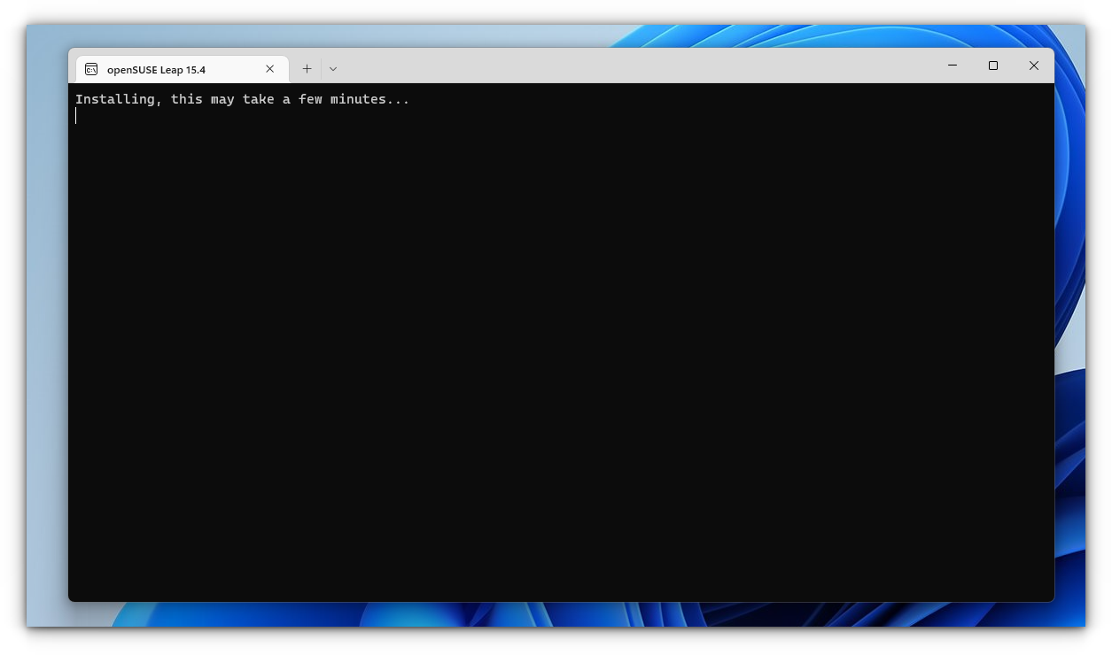 opening opensuse for the first time prompts installation