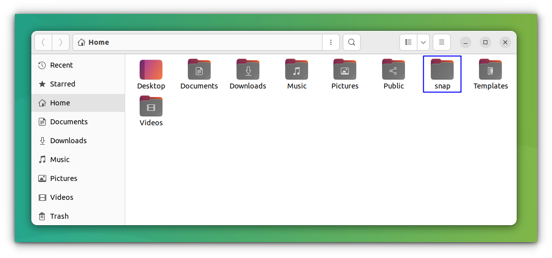 snap folder in home directory